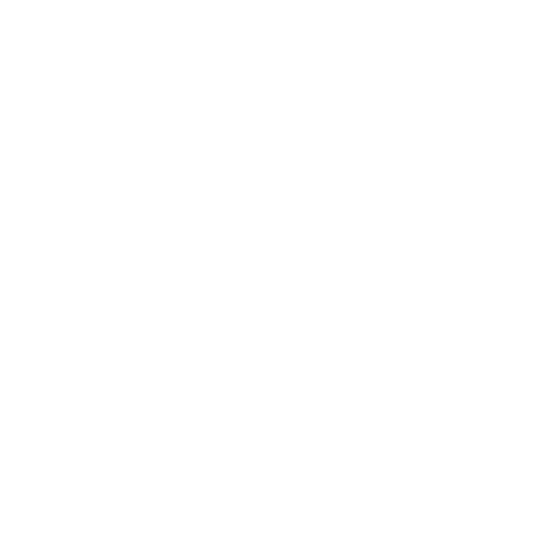 T-MAX PROSES